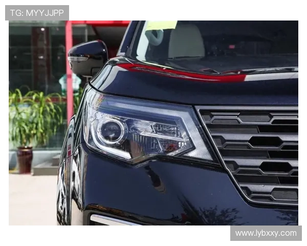 11款车完成C-NCAP试验,争议日系SUV夺魁,4款自主车型表现优异