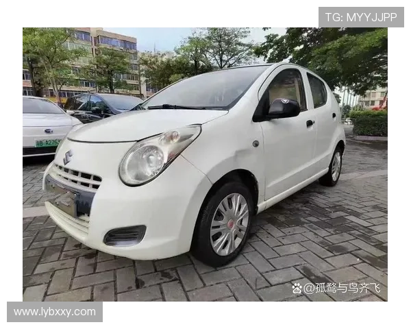 11年铃木奥拓8800#每天推荐好车